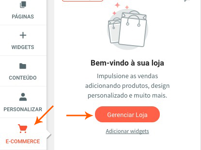 e-commerce e Gerenciar Loja (1).jpeg